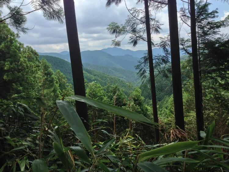 Photograph from Lindsey&rsquo;s years in Japan