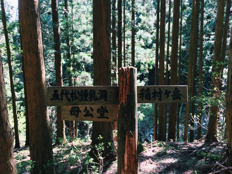 Photograph from Lindsey&rsquo;s years in Japan