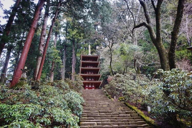 Photograph from Lindsey&rsquo;s years in Japan