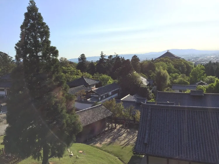 Photograph from Lindsey&rsquo;s years in Japan