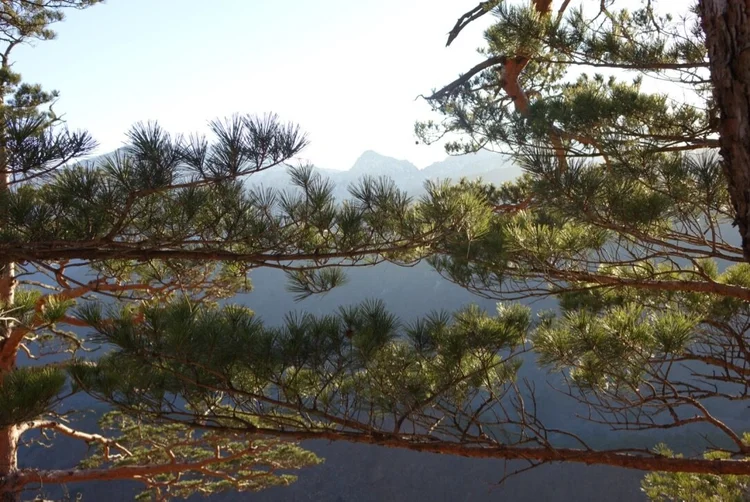 Photograph from Lindsey&rsquo;s years in Japan