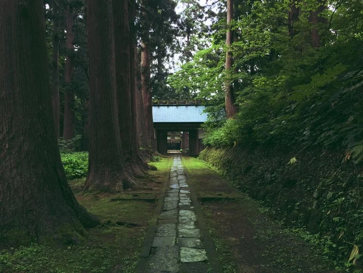 Photograph from Lindsey&rsquo;s years in Japan