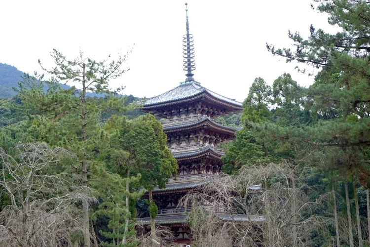 Photograph from Lindsey&rsquo;s years in Japan