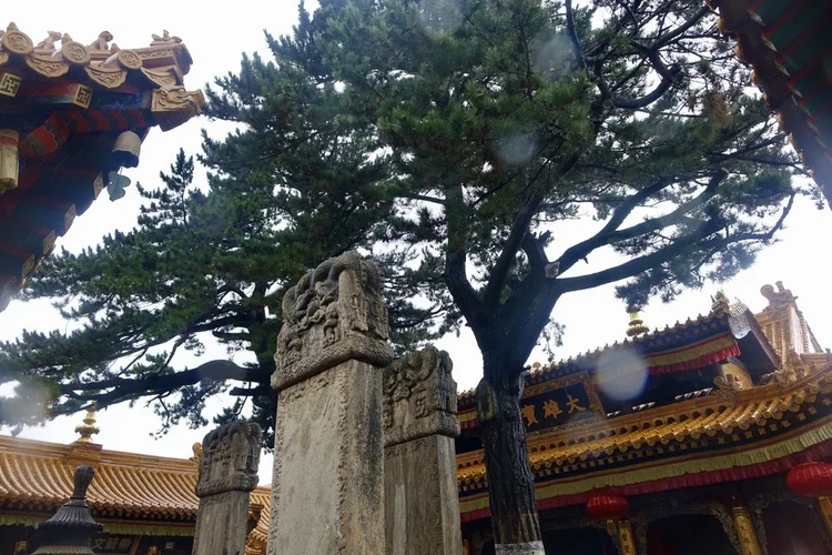Photograph from Lindsey&rsquo;s years in Japan
