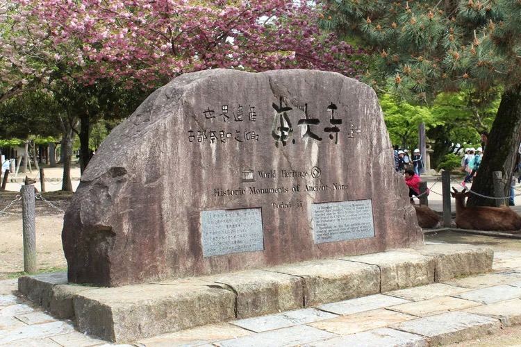 A large engraved stone at Tōdaiji marking the World Heritage Historic Monuments of Ancient Nara, with cherry blossoms overhead and deer resting nearby.
