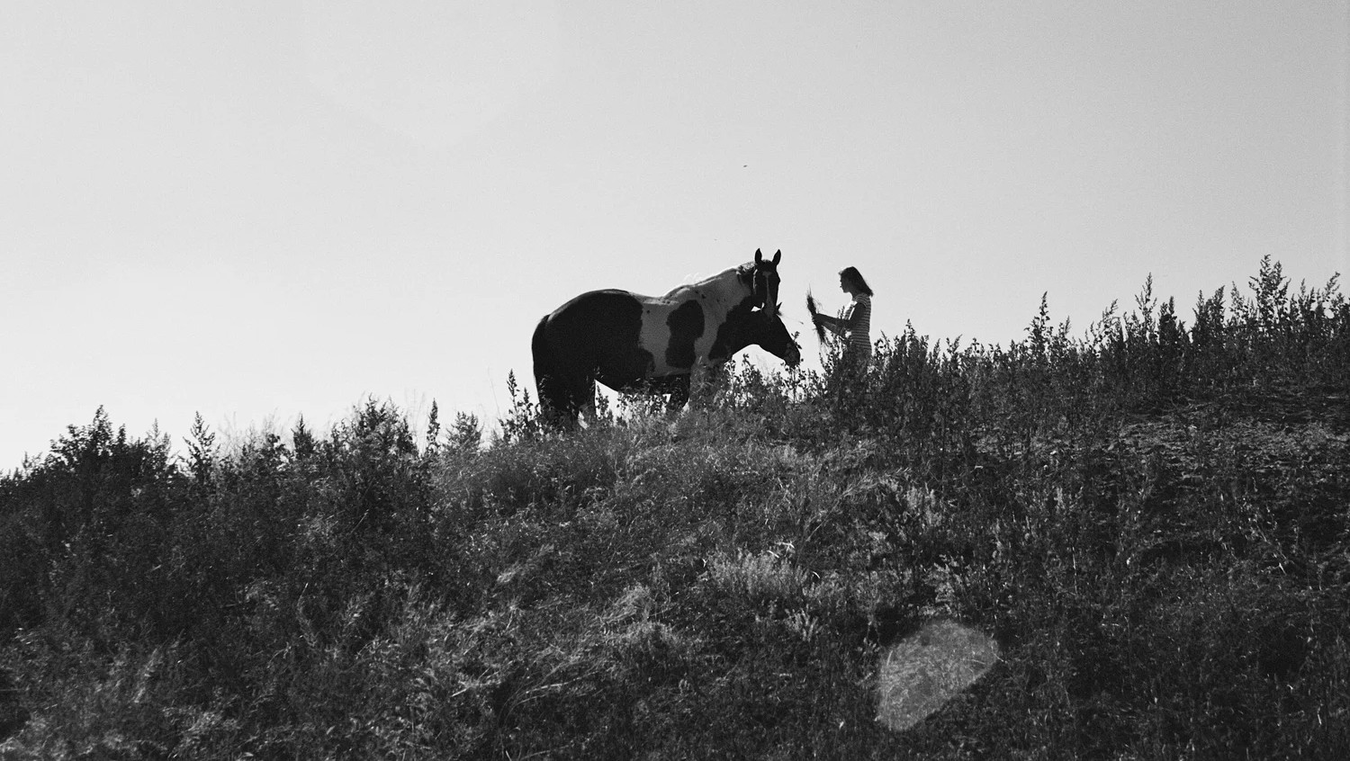 Black-and-white photograph of a girl with a paint horse on a sagebrush hillside in central Wyoming.