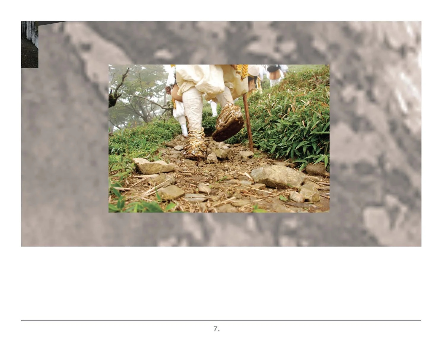 Prezi frame: animals on a rocky trail.