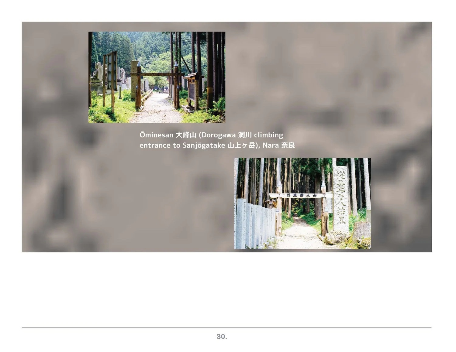 Prezi frame: Kumano kodō forest paths.