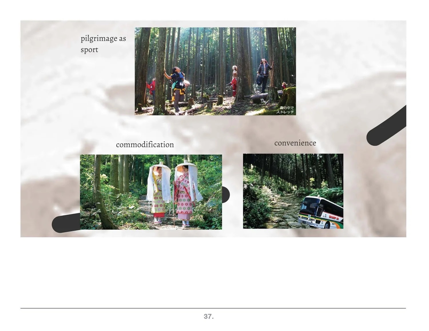Prezi frame: pilgrims among cedar trees.