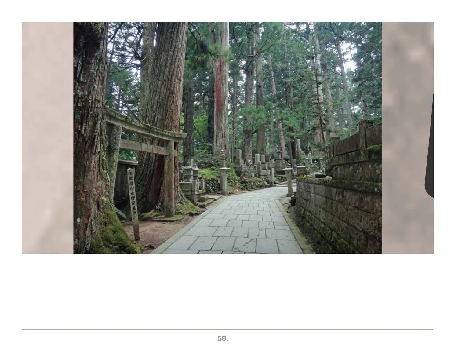 Prezi frame: cedar-lined stone path.
