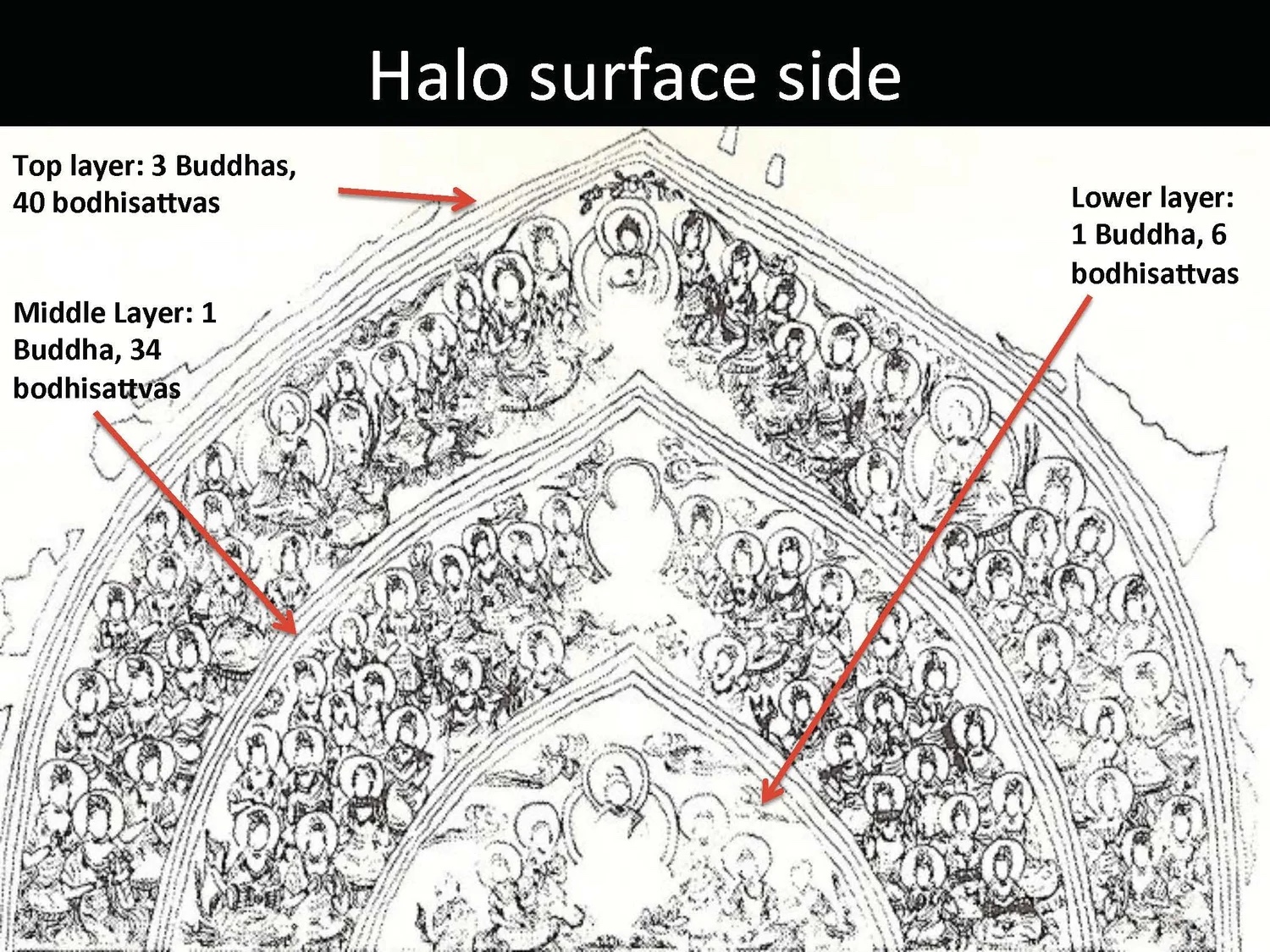 Slide: halo backside, annotated.