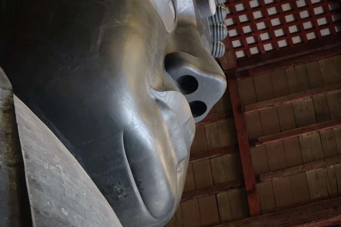 Profile of the Great Buddha’s face.