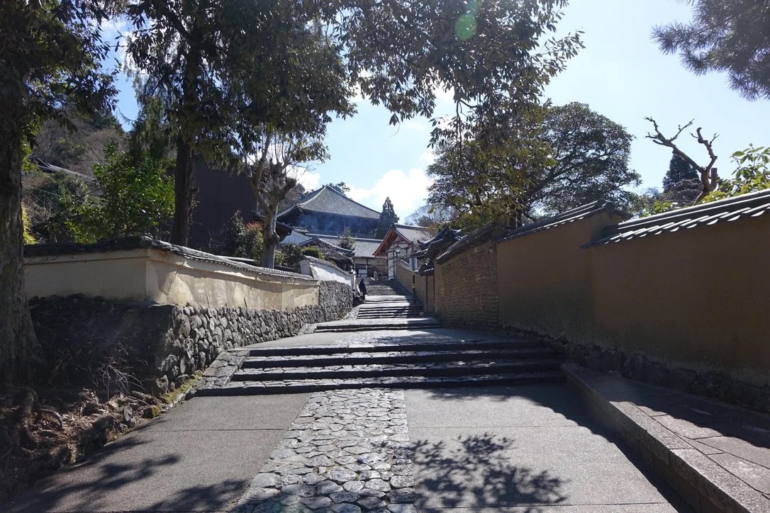 Stone steps rising to the Nigatsudō.