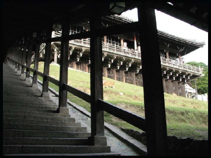 Slide: the Nigatsudō corridor.