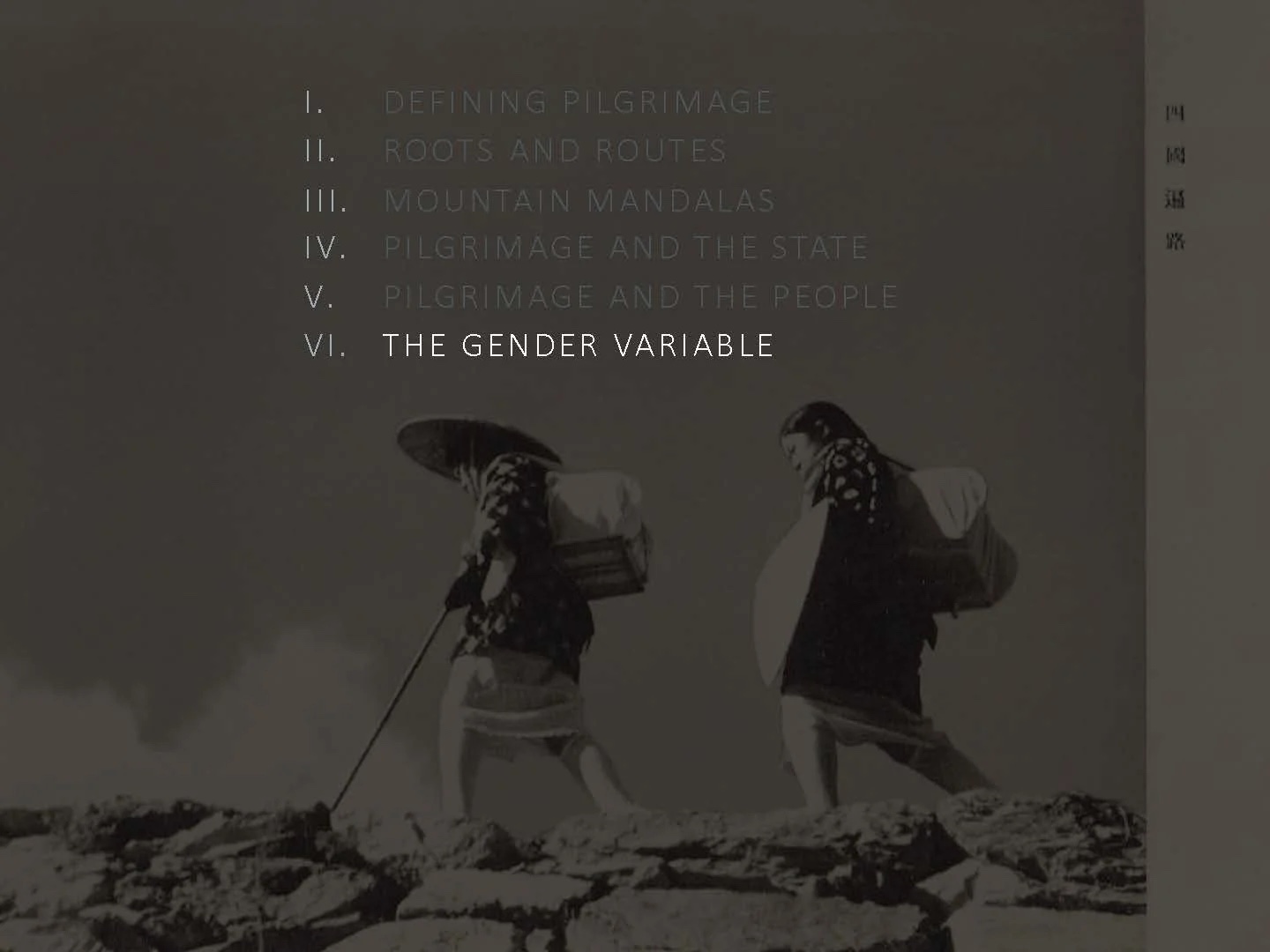 Slide: the gender variable—section title.