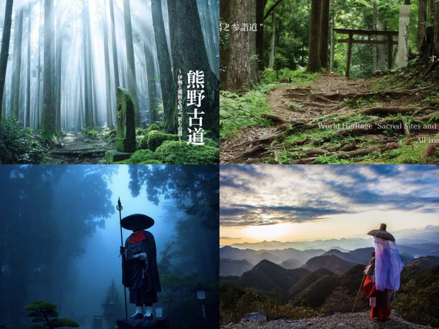 Slide: Kumano kodō forest scenes.
