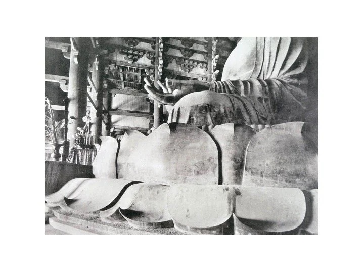 Slide: petal conservation photograph.